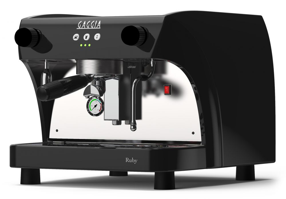 Gaggia professional 2024